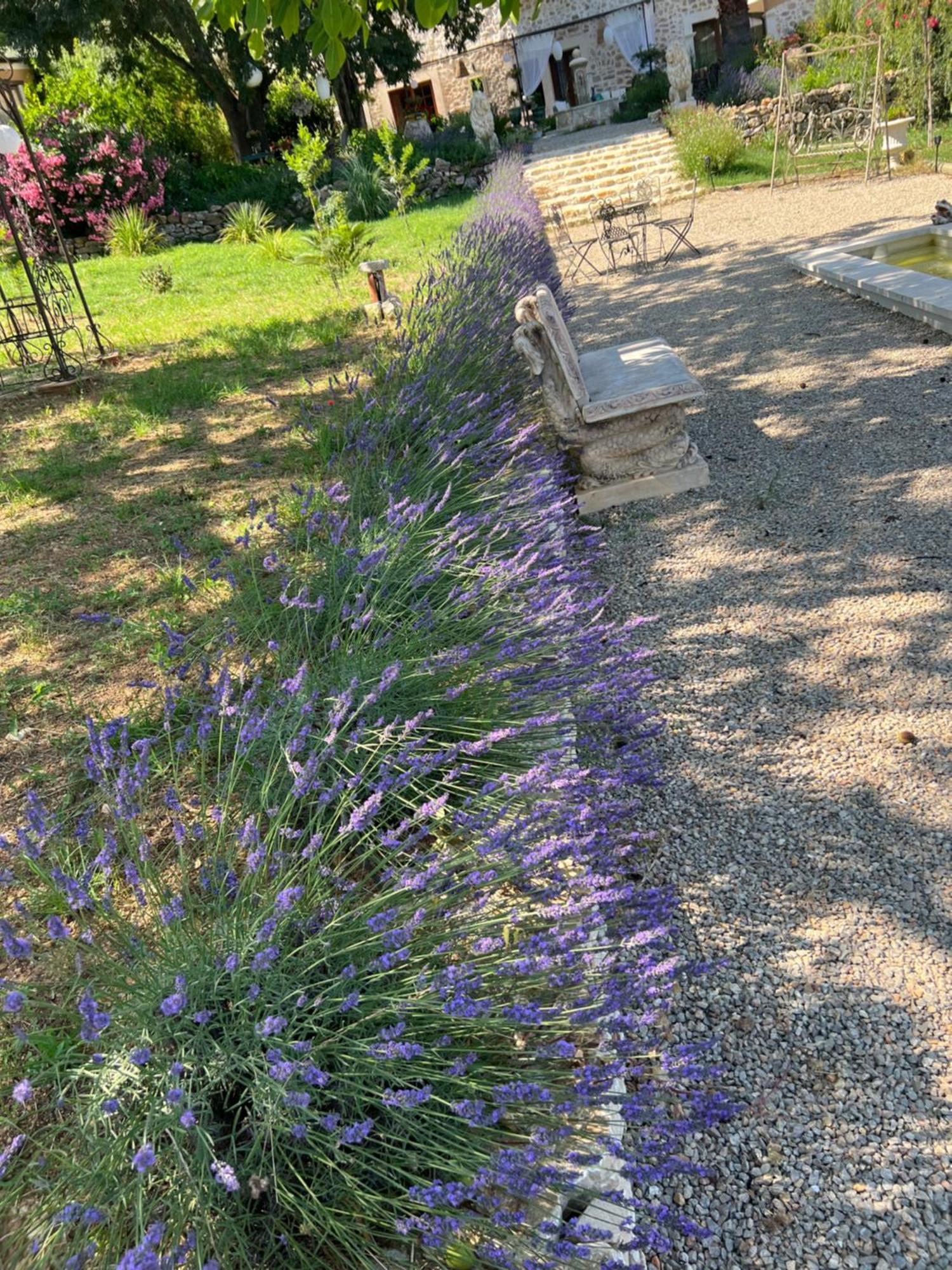 Bastide Des Hesperides Apartment Flayosc ภายนอก รูปภาพ