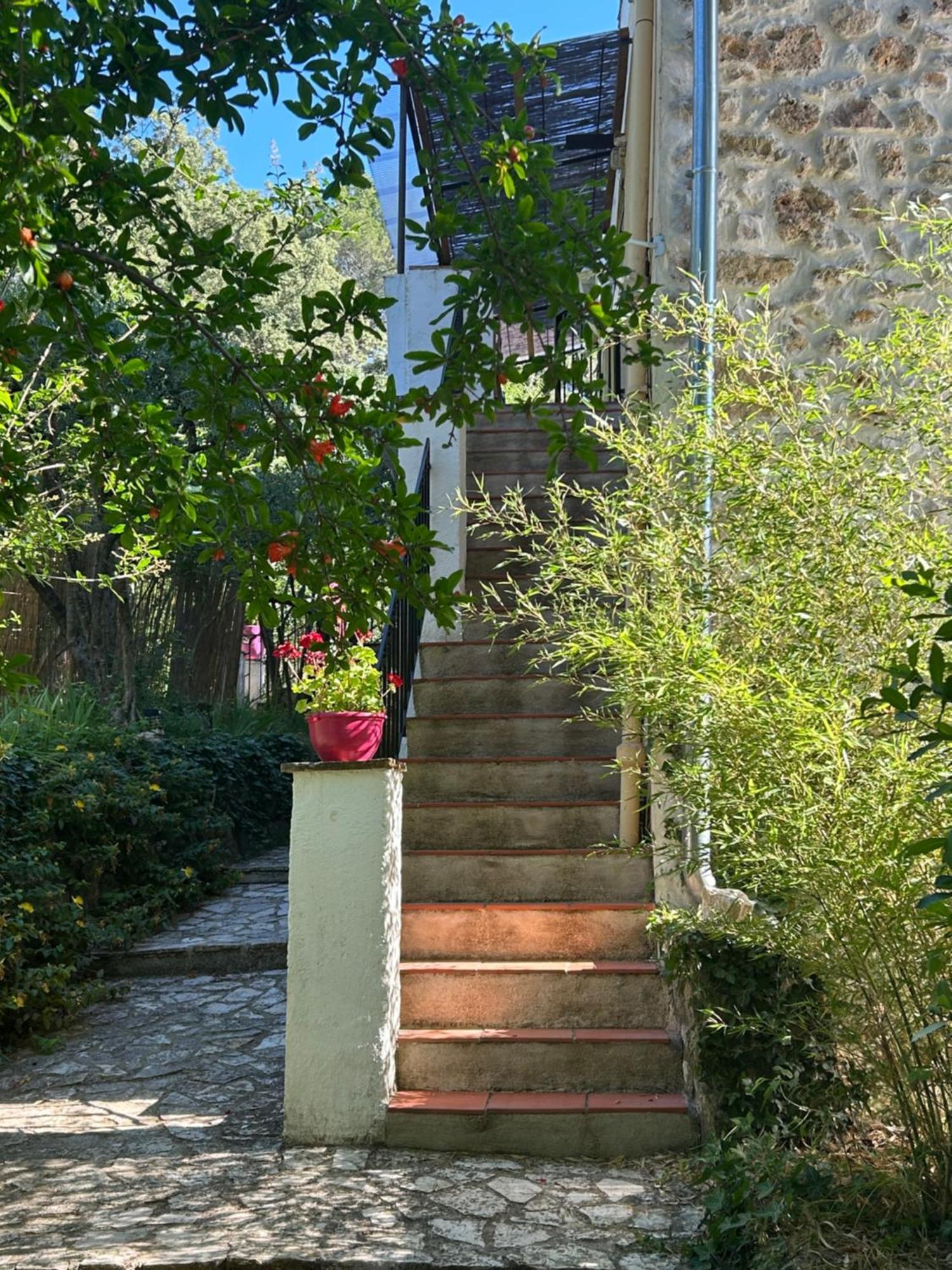 Bastide Des Hesperides Apartment Flayosc ภายนอก รูปภาพ